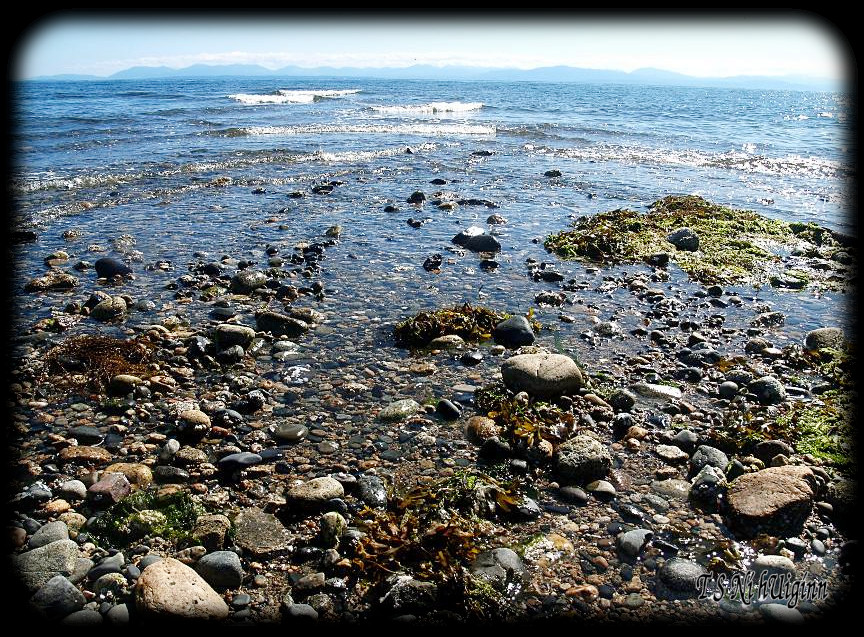 Waves on the beach of Pacific West Coast Mainland with Vancouver Island in the Background taken with Olympus Evolt E-300 by Coastal Salish Photographer TS Ni hUiginn