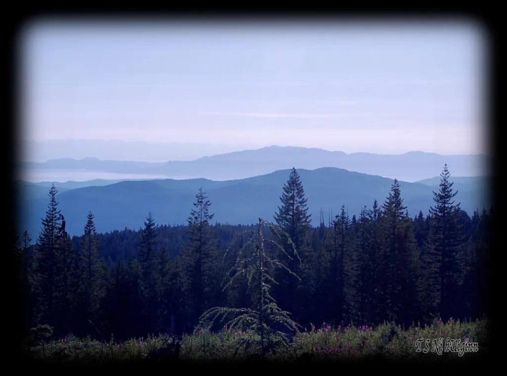 Distant Islands taken with Olympus Evolt E-300 by Coastal Salish Photographer TS Ni hUiginn.