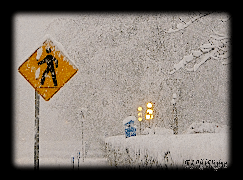 A street sign in a snowstorm.