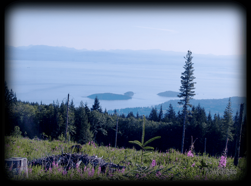 Photograph of the Gulf Islands taken from a mountain top clear cut from the Sunshine Coast BC with Olympus Evolt E-300 by Coastal Salish Photographer TS Ni hUiginn