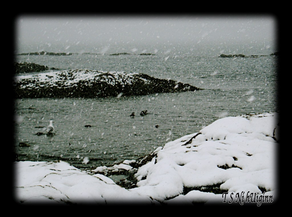 A snow falling on a beach taken by Salish photographer TS Ni hUiginn.