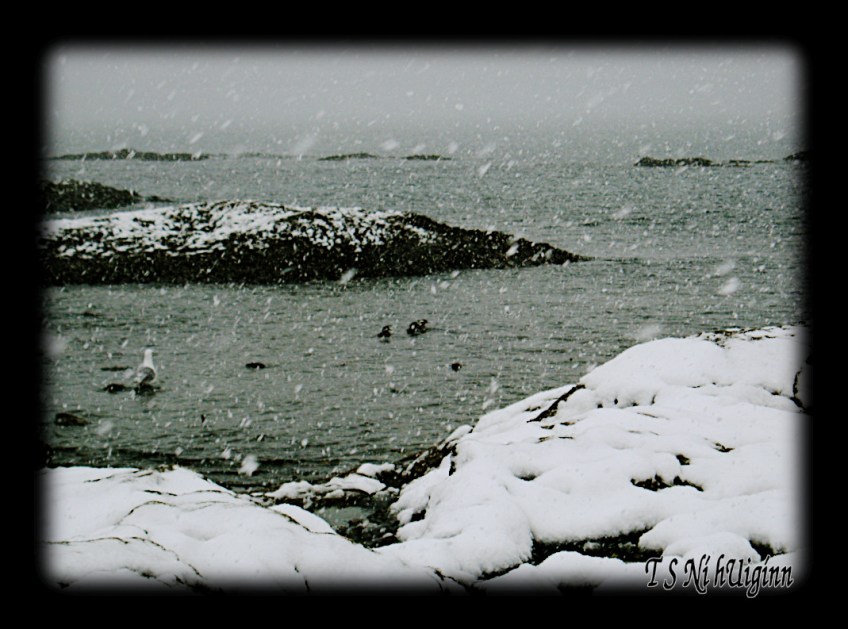 A snow falling on a beach taken by Salish photographer TS Ni hUiginn.