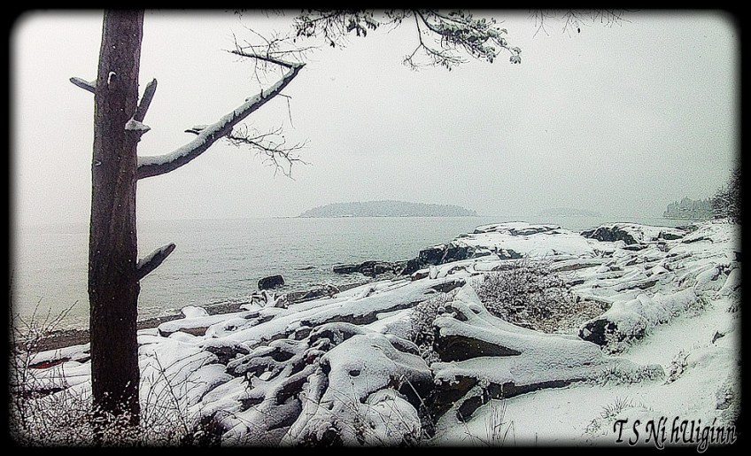 A photograph taken by TS Ni hUiggin of fresh snow of a Salish beach.