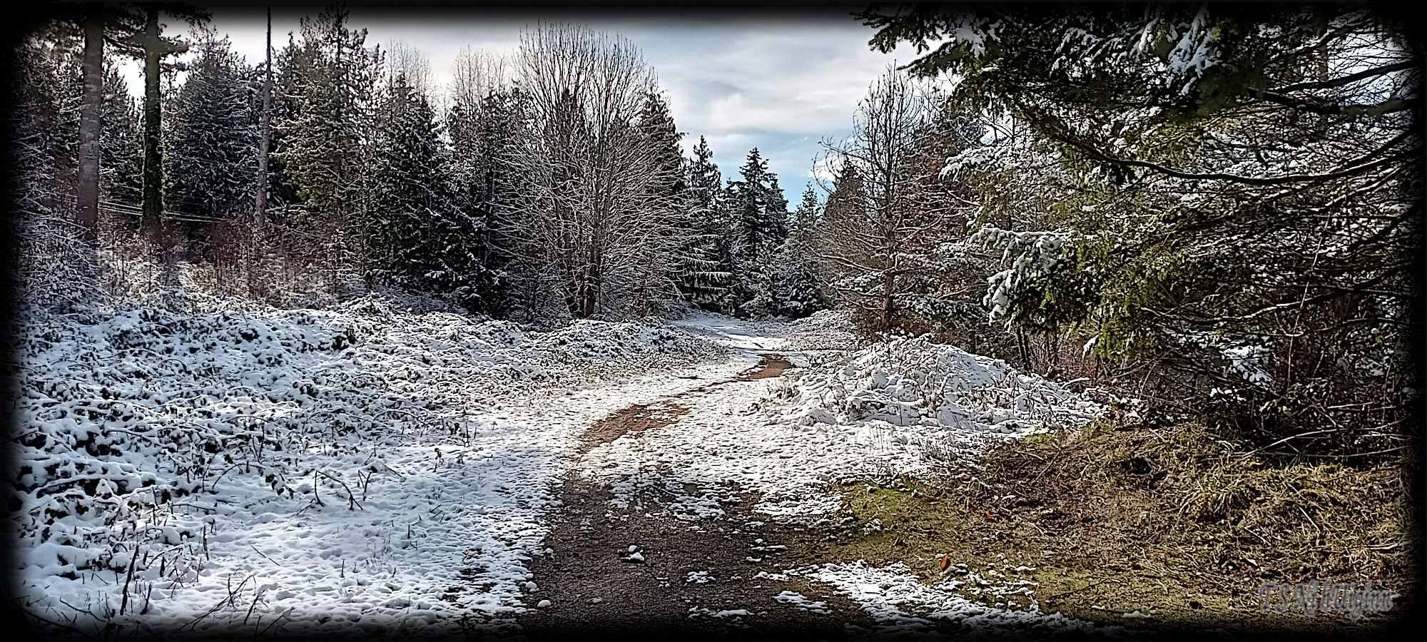 Snowy Path by the Sea Shore taken by Coastal Salish Photographer TS Ni hUiginn