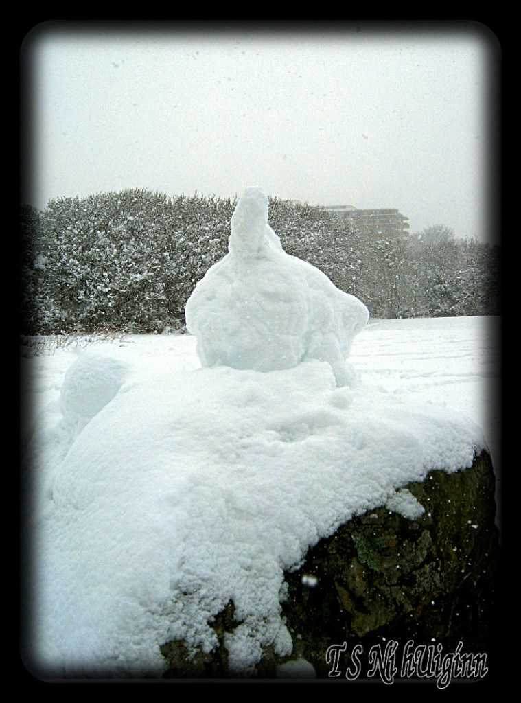 A photo of a snow bunny, taken by Salish photographer TS Ni hUiginn