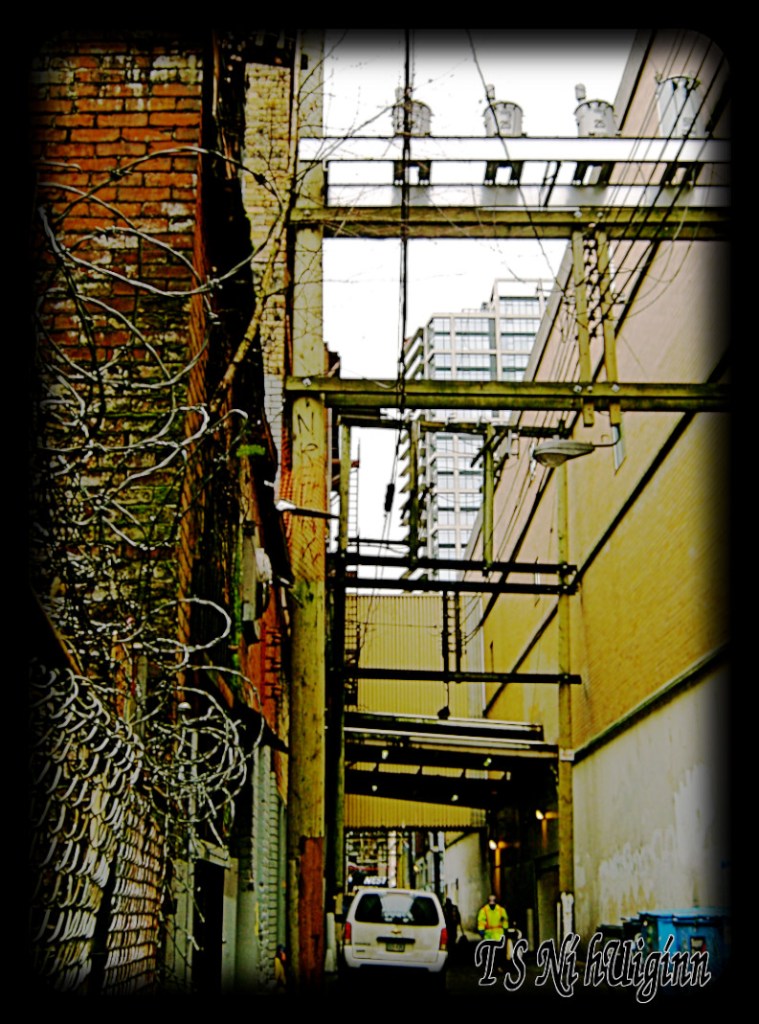 A tree and fern growing out of a a building in the DTES taken by Salish photographer TS Ni hUiginn