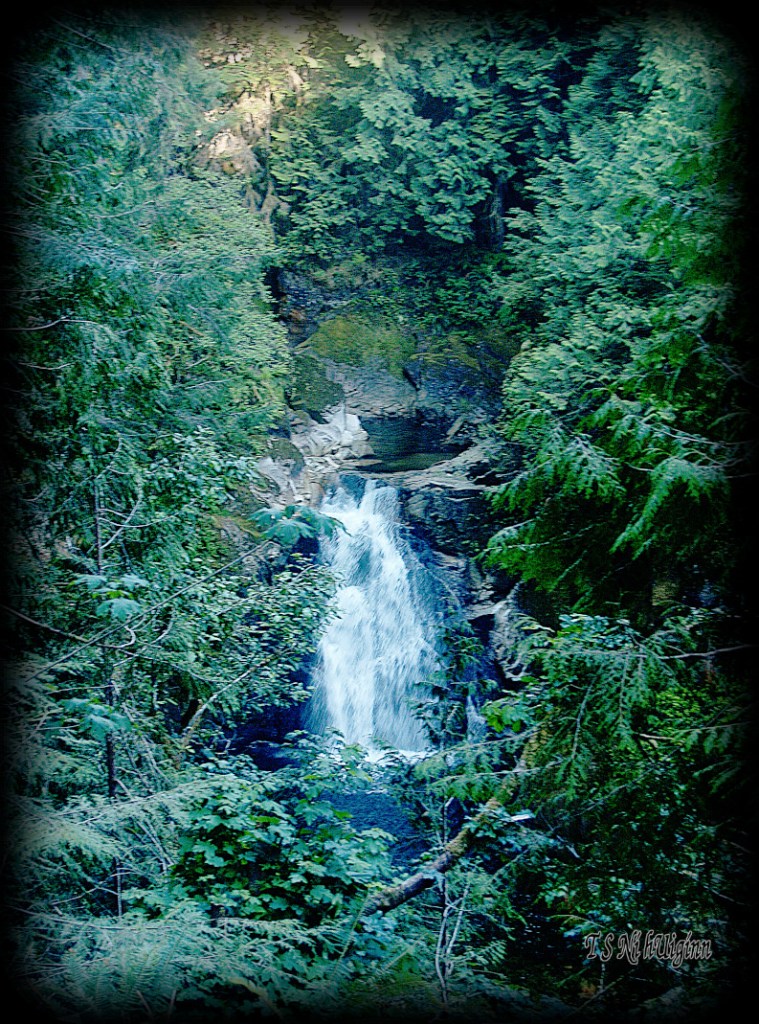 Waterfall in the forest taken with Olympus Evolt E-300 by Coastal Salish Photographer TS Ni hUiginn.