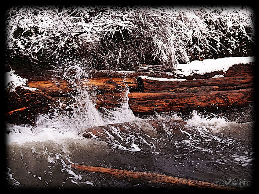 Snow and Saltwater taken by Salish photographer TS Ni hUiginn!