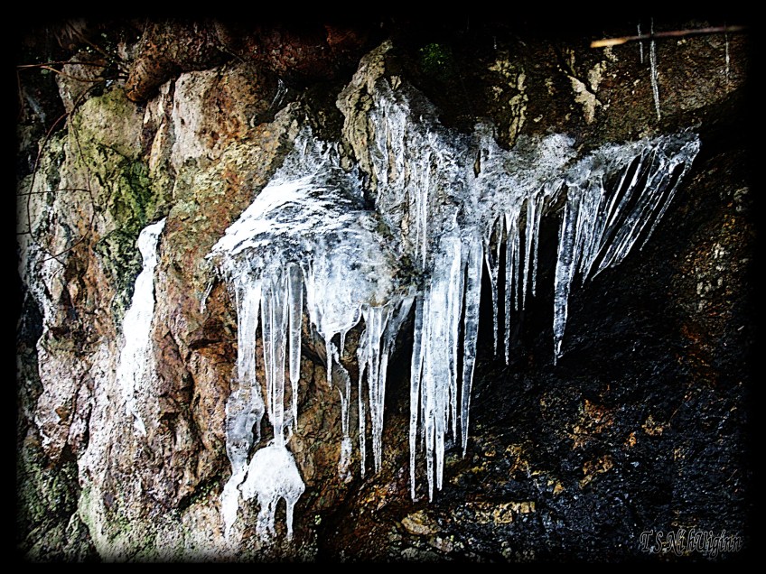 Icicles taken by Salish photographer TS Ni hUiginn!
