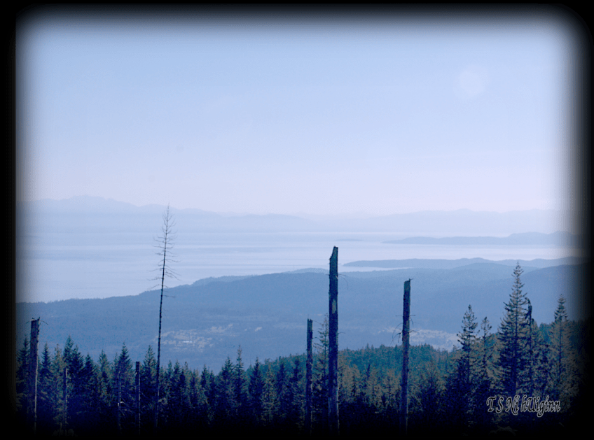 Photograph of the Gulf Islands taken from a mountain top clear cut from the Sunshine Coast BC with Olympus Evolt E-300 by Coastal Salish Photographer TS Ni hUiginn