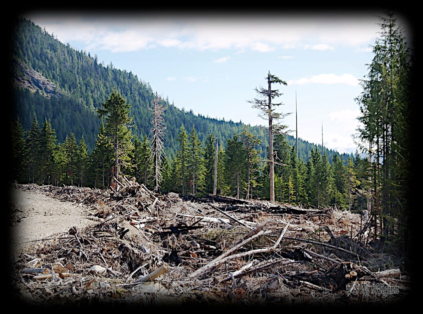 Mountain Top taken with an Olympus Evolt E-300 by Coastal Salish Photographer TS Ni hUiginn.