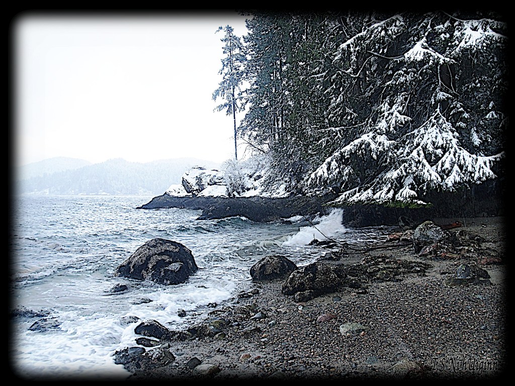 Snow and Saltwater taken by Salish photographer TS Ni hUiginn!