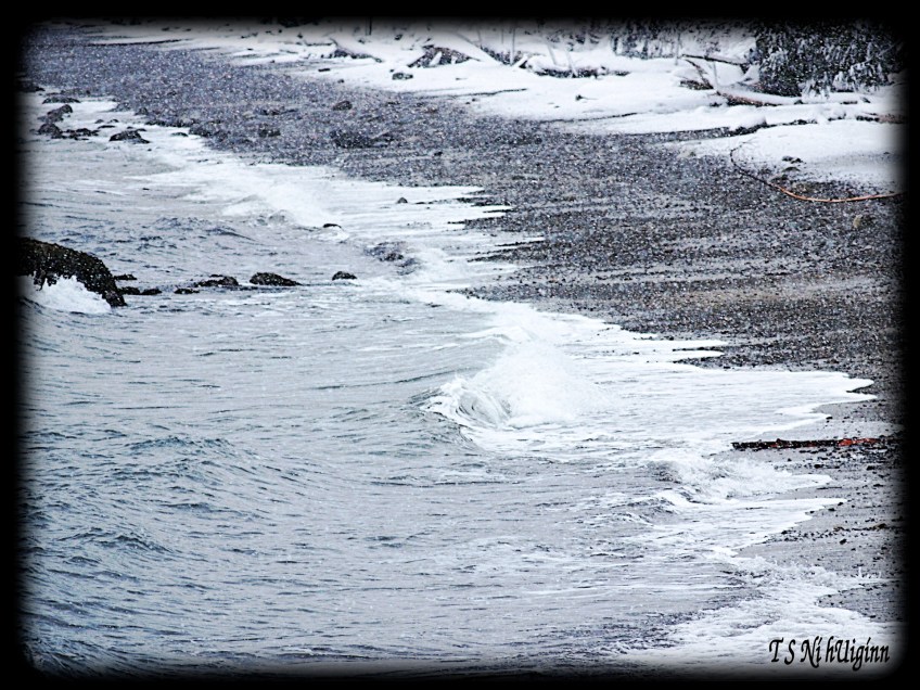 Snow and Saltwater taken by Salish photographer TS Ni hUiginn!