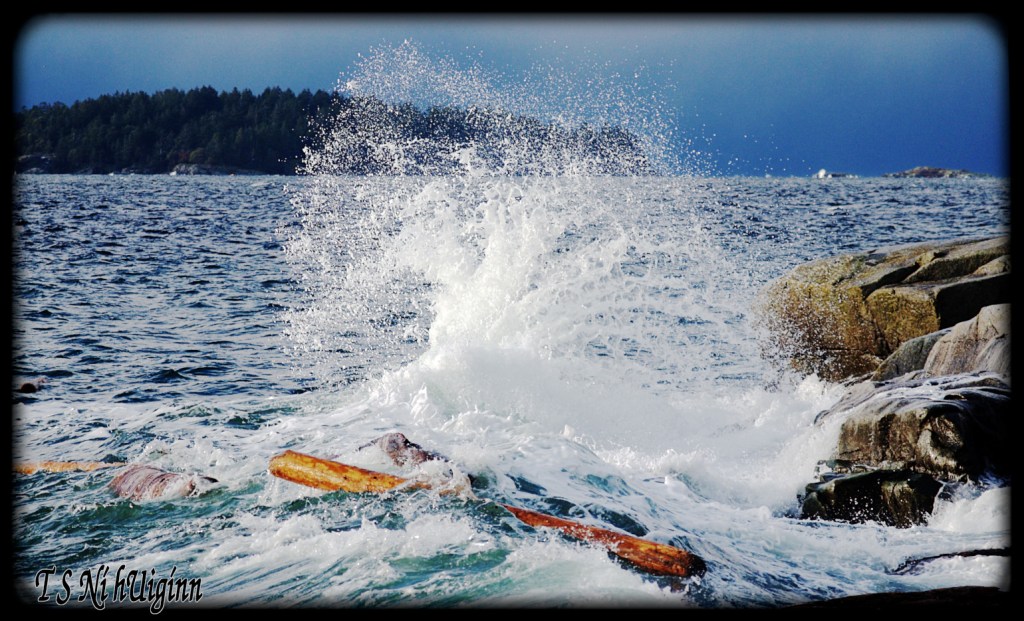 West Coast Winter storm waves taken with Olympus Evolt E-300 by Coastal Salish Photographer TS Ni hUiginn