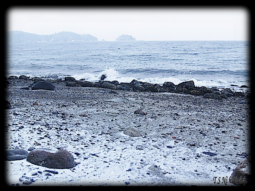 Snow and Saltwater taken by Salish photographer TS Ni hUiginn!