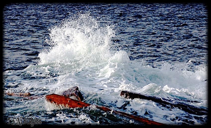 West Coast Winter storm waves taken with Olympus Evolt E-300 by Coastal Salish Photographer TS Ni hUiginn