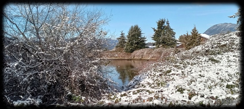 Snow by the Sea Shore taken by Coastal Salish Photographer TS Ni hUiginn