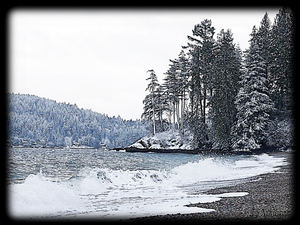 Snow and Saltwater taken by Salish photographer TS Ni hUiginn!