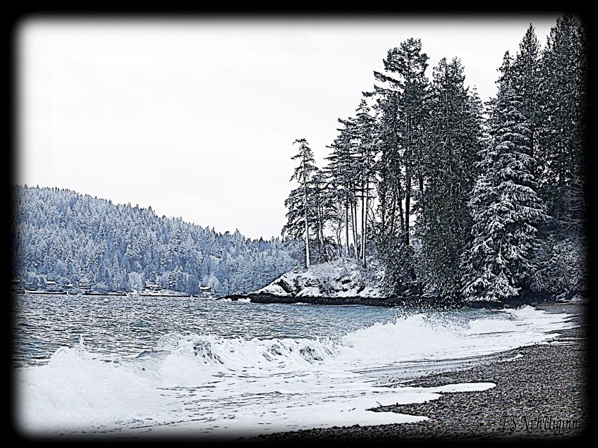 Snow and Saltwater taken by Salish photographer TS Ni hUiginn!