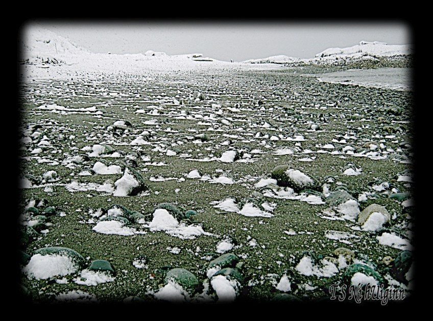 A windswept snowy beach taken by Salish photographer TS Ni hUiginn.