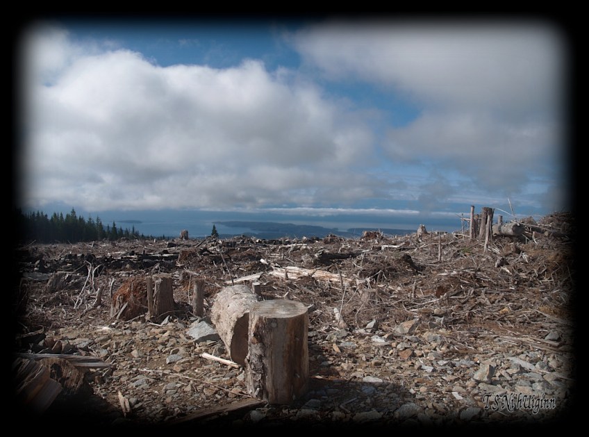 Distant Islands taken from mountain top with Olympus Evolt E-300 by Coastal Salish Photographer TS Ni hUiginn.
