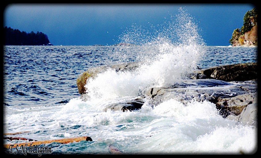 West Coast Winter storm waves taken with Olympus Evolt E-300 by Coastal Salish Photographer TS Ni hUiginn