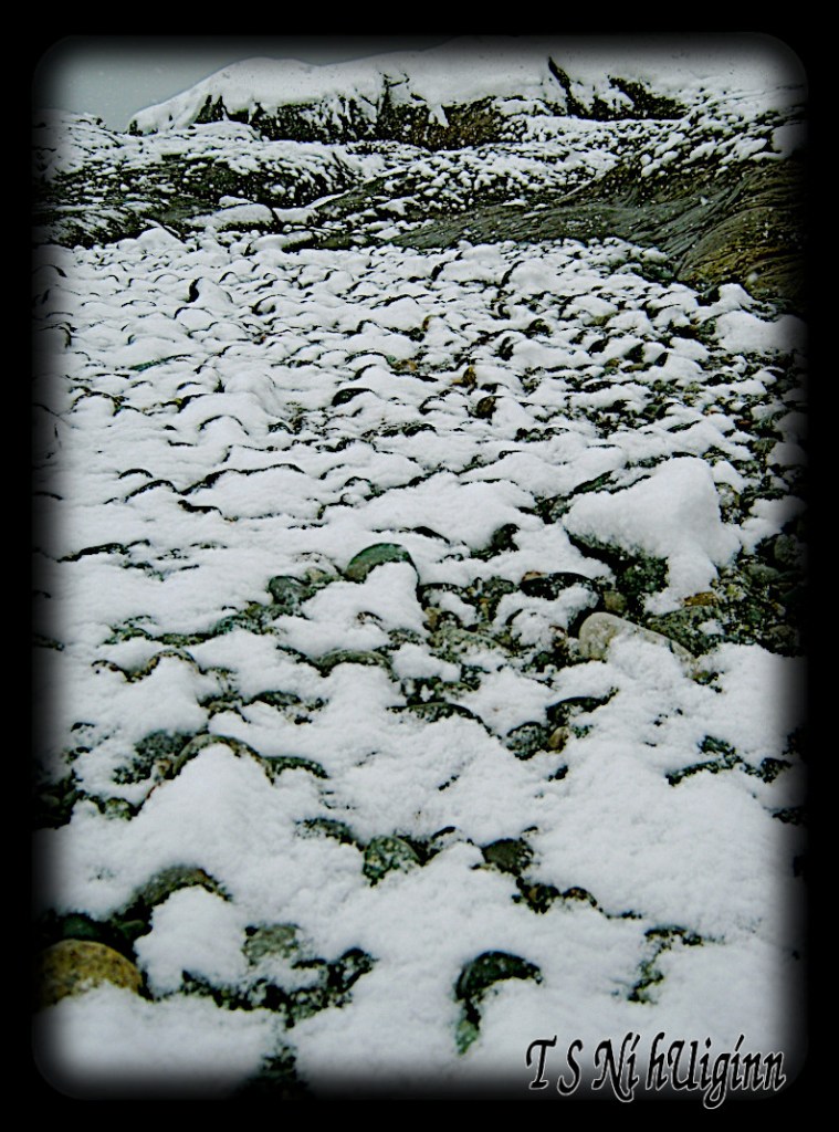 A windswept snowy beach taken by Salish photographer TS Ni hUiginn.