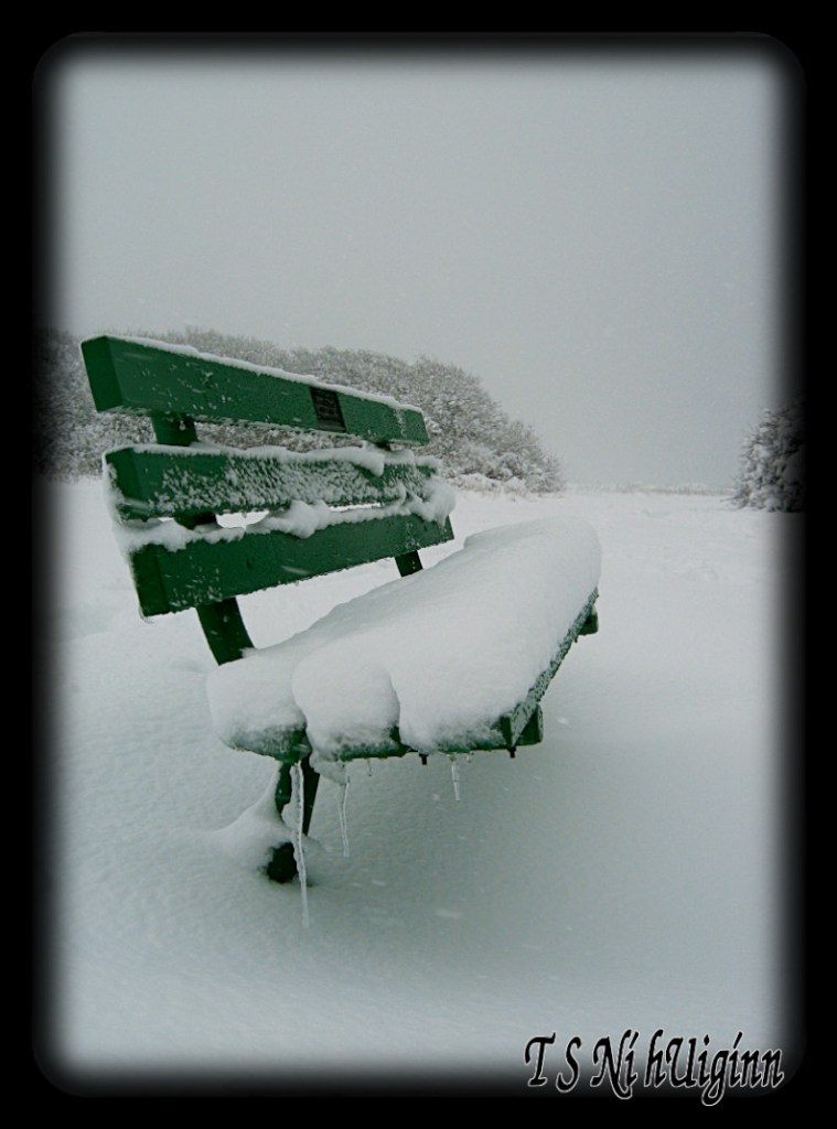 A Snow Covered Bench taken by Salish photographer TS Ni hUiginn