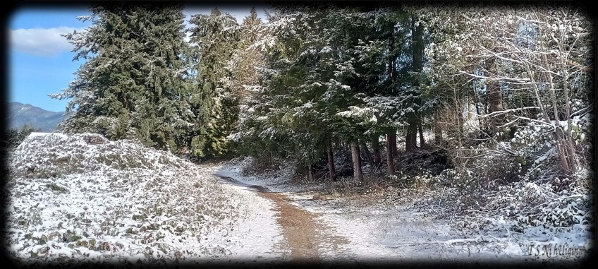 Snowy Path by the Sea Shore taken by Coastal Salish Photographer TS Ni hUiginn