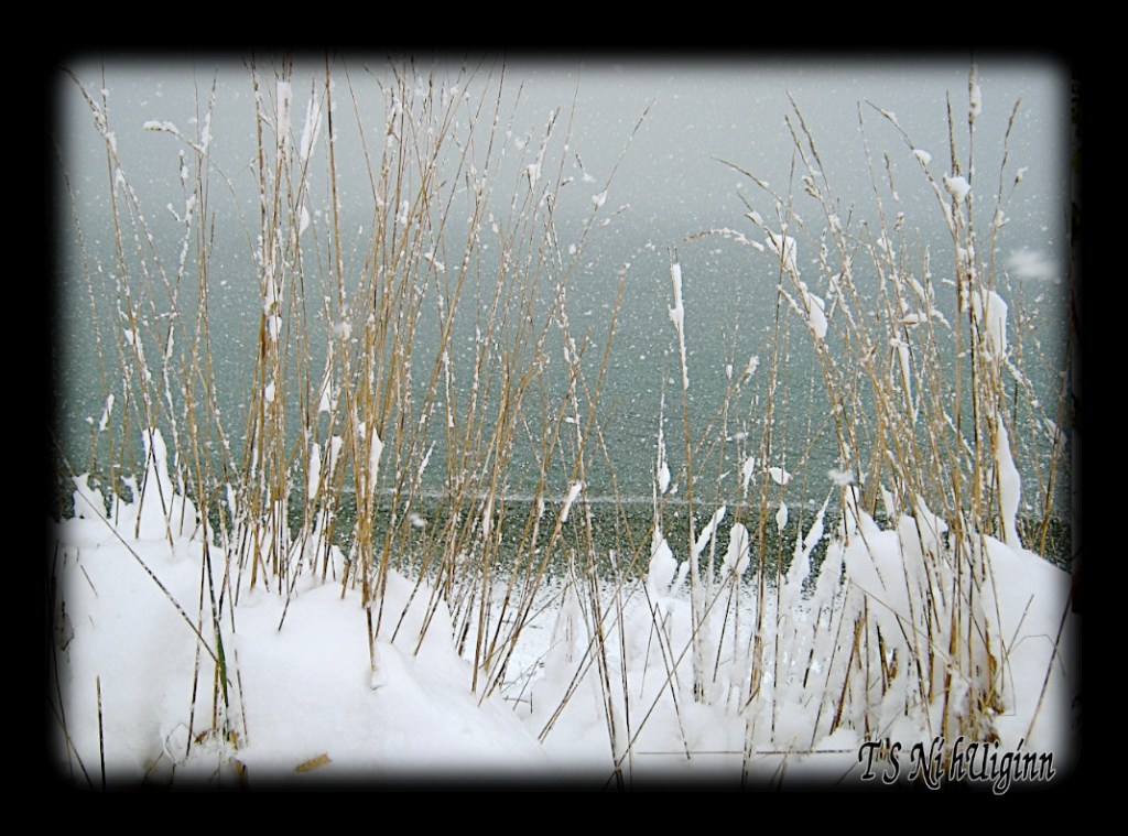 A snowy beach taken by Salish photographer TS Ni hUiginn.
