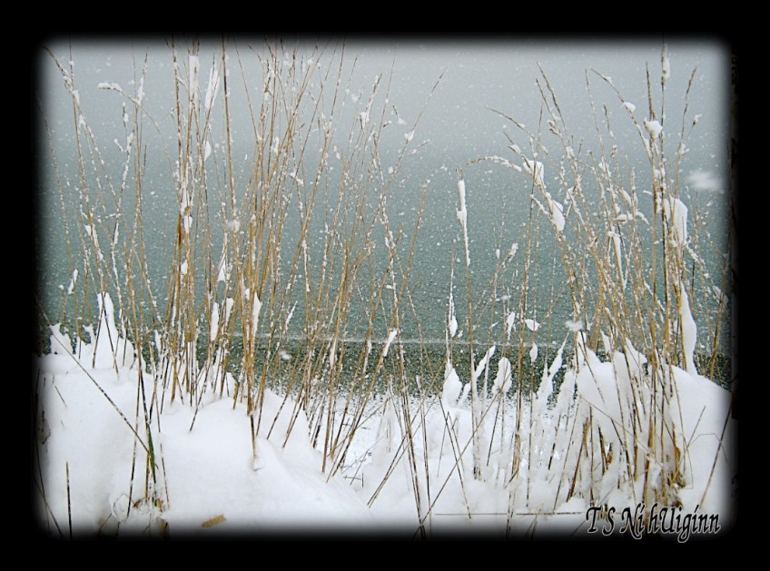 A snowy beach taken by Salish photographer TS Ni hUiginn.