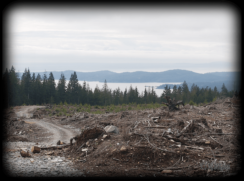 Photograph of the Gulf Islands taken from a mountain top clear cut from the Sunshine Coast BC with Olympus Evolt E-300 by Coastal Salish Photographer TS Ni hUiginn